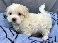 processed/a5f28cd1-0e3e-4564-ba56-2348f374b245/listing/18b8da02-e415-402e-8bdf-d9f3dfa43424/7439bc56-fb2b-4793-b784-8648ebedc563