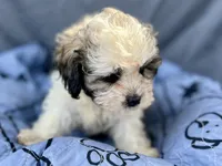 processed/a5f28cd1-0e3e-4564-ba56-2348f374b245/listing/3c41cf5c-54d4-4194-bb92-29f0a2de53a7/cdd46be9-c692-4dbe-ab2d-cd2e98baaa63