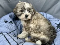 processed/a5f28cd1-0e3e-4564-ba56-2348f374b245/listing/4afd4041-f47d-4f6d-807b-7308e6d616c2/ae1f0247-25aa-4077-be04-bee8b3cc100d