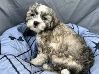 processed/a5f28cd1-0e3e-4564-ba56-2348f374b245/listing/4afd4041-f47d-4f6d-807b-7308e6d616c2/c752b6a6-b3c6-4904-8896-b5bbf82141bb