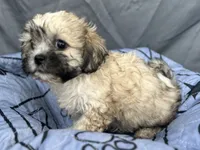 processed/a5f28cd1-0e3e-4564-ba56-2348f374b245/listing/7c6ec2b0-590d-4042-aafa-08cf5d6fa92e/3f578477-70dc-4f1f-ac67-0605e64d0c78