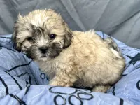 processed/a5f28cd1-0e3e-4564-ba56-2348f374b245/listing/7c6ec2b0-590d-4042-aafa-08cf5d6fa92e/753ab1b3-f19a-45d1-9fd5-f3595a3d61a9