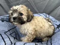 processed/a5f28cd1-0e3e-4564-ba56-2348f374b245/listing/7c6ec2b0-590d-4042-aafa-08cf5d6fa92e/cf50e722-633d-414e-9325-85ccac29506d