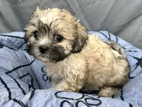 processed/a5f28cd1-0e3e-4564-ba56-2348f374b245/listing/7c6ec2b0-590d-4042-aafa-08cf5d6fa92e/fd8987fe-2582-46ca-bb7f-befdcc4c3a00