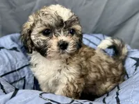 processed/a5f28cd1-0e3e-4564-ba56-2348f374b245/listing/b9a3fc41-2fe7-459e-a042-0ceb3d27e8d2/6268297a-fa8b-4ba0-b322-d9a6fdb94def