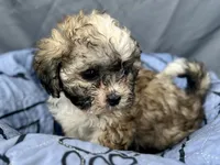 processed/a5f28cd1-0e3e-4564-ba56-2348f374b245/listing/b9a3fc41-2fe7-459e-a042-0ceb3d27e8d2/66364814-782f-444f-8a01-842fc84ac481