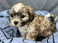 processed/a5f28cd1-0e3e-4564-ba56-2348f374b245/listing/b9a3fc41-2fe7-459e-a042-0ceb3d27e8d2/d2fcdeab-4592-4381-acdd-f29a51b2c9d9