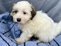 processed/a5f28cd1-0e3e-4564-ba56-2348f374b245/listing/ba46e034-939a-4df5-bdc2-faed73fea86f/76f0854f-cb49-46ba-a148-88ae2dddb077