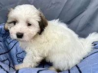 processed/a5f28cd1-0e3e-4564-ba56-2348f374b245/listing/ba46e034-939a-4df5-bdc2-faed73fea86f/a2df79a4-78f8-458b-b463-ec5f54af6efd