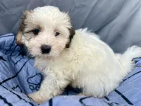 processed/a5f28cd1-0e3e-4564-ba56-2348f374b245/listing/ba46e034-939a-4df5-bdc2-faed73fea86f/dcf21651-03db-4136-b55f-94610e509467