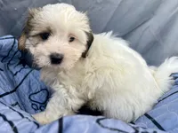 processed/a5f28cd1-0e3e-4564-ba56-2348f374b245/listing/ba46e034-939a-4df5-bdc2-faed73fea86f/e31839e7-e8ad-4399-9558-02c60d0616f8