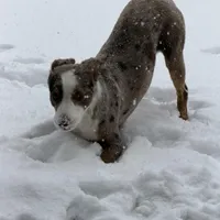 processed/a5f8ea93-fe40-42d1-9c4e-67573a597ebe/facility/035c5121-b989-4c52-ba96-be1f4af3141a