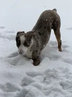 processed/a5f8ea93-fe40-42d1-9c4e-67573a597ebe/facility/035c5121-b989-4c52-ba96-be1f4af3141a