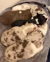 processed/a5f8ea93-fe40-42d1-9c4e-67573a597ebe/facility/04121a3f-dd45-459a-b58b-9d76e14ff48d