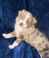 processed/a5f8ea93-fe40-42d1-9c4e-67573a597ebe/facility/416e4715-d7ef-4e36-b3d6-4ef711b0a1f1