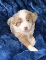 processed/a5f8ea93-fe40-42d1-9c4e-67573a597ebe/facility/61a967df-9e9a-48ba-a7c2-644f87fe0a89