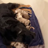 processed/a5f8ea93-fe40-42d1-9c4e-67573a597ebe/facility/6293990d-a799-4e52-a1a8-b639f6c0792f