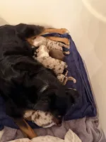 processed/a5f8ea93-fe40-42d1-9c4e-67573a597ebe/facility/6293990d-a799-4e52-a1a8-b639f6c0792f