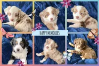 processed/a5f8ea93-fe40-42d1-9c4e-67573a597ebe/facility/98a387ac-6be8-4a49-af34-572a7250895c