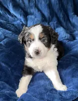 processed/a5f8ea93-fe40-42d1-9c4e-67573a597ebe/facility/a5207384-e41f-406a-bb4f-c0054a682d80