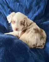 processed/a5f8ea93-fe40-42d1-9c4e-67573a597ebe/facility/b8259926-4e57-4b78-a050-7ca0ddd657d9