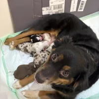 processed/a5f8ea93-fe40-42d1-9c4e-67573a597ebe/facility/d221db0e-b470-44c8-bc57-2f61820cf6bc