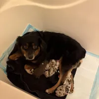 processed/a5f8ea93-fe40-42d1-9c4e-67573a597ebe/facility/f1a00df5-f635-4170-9d02-9ac65753d11f