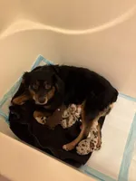 processed/a5f8ea93-fe40-42d1-9c4e-67573a597ebe/facility/f1a00df5-f635-4170-9d02-9ac65753d11f