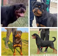 processed/a6052071-a305-44bd-ace0-1b7d9a4a334d/listing/2f49bb53-17fe-405f-8e5d-92414f563eb5/50550032-a6f7-46da-b484-9e8e5135dee3