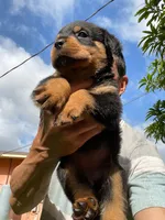 processed/a6052071-a305-44bd-ace0-1b7d9a4a334d/listing/2f49bb53-17fe-405f-8e5d-92414f563eb5/83e1c2b4-ed61-4fbb-b9b7-7135f56afaff