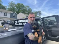 Toma , a male Rottweiler for sale in Miami, FL – 1 of 3