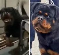 processed/a6052071-a305-44bd-ace0-1b7d9a4a334d/listing/f549837f-e8ba-4cb4-97b9-70877cf42921/0347573c-f71d-40b4-8cfd-5e12e1627b6d