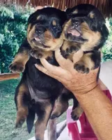 processed/a6052071-a305-44bd-ace0-1b7d9a4a334d/listing/fd880db6-d784-4330-87d9-15df324ad979/71d4f879-d137-4b02-aeef-b694ae1360cb