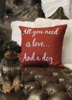 Mishka Biggie Smalls, a female Poodle - Miniature  for sale in Stillwater, MN – 10 of 10