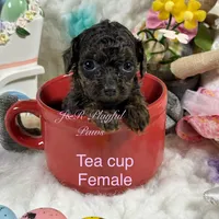 processed/a60ec7e7-8053-417e-809a-0f14b860686c/facility/4132c6af-60dc-4c76-98ce-7d1bc3707bfb