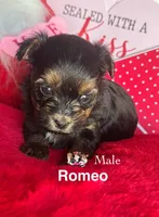 processed/a60ec7e7-8053-417e-809a-0f14b860686c/listing/0a7111e1-9fd9-43c1-84e3-04a634df3af4/40174d20-a879-4141-9f01-684621adae05