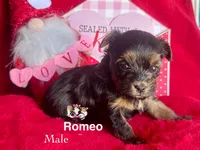 processed/a60ec7e7-8053-417e-809a-0f14b860686c/listing/0a7111e1-9fd9-43c1-84e3-04a634df3af4/7a6dc3ab-5f73-466c-8637-4a621d4bb5fc