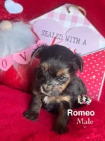 processed/a60ec7e7-8053-417e-809a-0f14b860686c/listing/0a7111e1-9fd9-43c1-84e3-04a634df3af4/ba940f42-1352-4f9d-9b5b-887d0f2d1a88