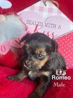 processed/a60ec7e7-8053-417e-809a-0f14b860686c/listing/0a7111e1-9fd9-43c1-84e3-04a634df3af4/e6a6847b-6938-45db-9231-536edf15f76b