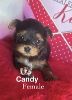 processed/a60ec7e7-8053-417e-809a-0f14b860686c/listing/266215b9-08df-468a-9450-dd8566d50230/2ac2b759-f559-4852-a7db-a31763b2505d