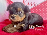 processed/a60ec7e7-8053-417e-809a-0f14b860686c/listing/266215b9-08df-468a-9450-dd8566d50230/d8d45e8a-3844-429a-bef2-322feaada19f