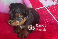 processed/a60ec7e7-8053-417e-809a-0f14b860686c/listing/266215b9-08df-468a-9450-dd8566d50230/f8f3096a-8e28-4395-b71b-57faa0b7dcad