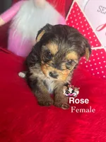 processed/a60ec7e7-8053-417e-809a-0f14b860686c/listing/7b5b3e92-f80d-4362-92e4-44c8de58c5a1/d49f1273-a61e-4be0-8f40-481b2def0bb8