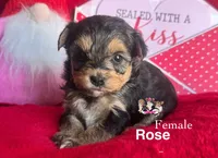 processed/a60ec7e7-8053-417e-809a-0f14b860686c/listing/7b5b3e92-f80d-4362-92e4-44c8de58c5a1/d98579b8-3b10-4409-b475-88d9b3510612