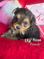 processed/a60ec7e7-8053-417e-809a-0f14b860686c/listing/7b5b3e92-f80d-4362-92e4-44c8de58c5a1/d9a92ce0-c521-4b93-bc86-7eb7e569c802