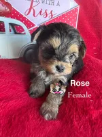 processed/a60ec7e7-8053-417e-809a-0f14b860686c/listing/7b5b3e92-f80d-4362-92e4-44c8de58c5a1/f0959647-f6b9-4e22-85b1-03d821f60e7e