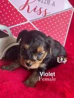 processed/a60ec7e7-8053-417e-809a-0f14b860686c/listing/be2dfc09-f810-477f-94b2-ead175041e39/3f2b4fc5-b26e-40a1-aad9-f2e73dad6bdf