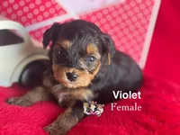 processed/a60ec7e7-8053-417e-809a-0f14b860686c/listing/be2dfc09-f810-477f-94b2-ead175041e39/a8229123-1606-48a6-af8f-776a58eebd1a