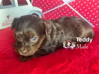 processed/a60ec7e7-8053-417e-809a-0f14b860686c/listing/e614aa3a-16ed-42f3-ad9c-5ce2a697d2b2/116180b9-37a0-4cf4-b2ac-69796f7d8be4