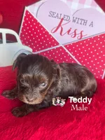 processed/a60ec7e7-8053-417e-809a-0f14b860686c/listing/e614aa3a-16ed-42f3-ad9c-5ce2a697d2b2/4629caf7-b542-44ef-92aa-90987a0f6f77